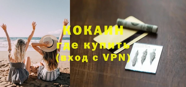 кокс Ельня