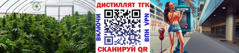 магазин продажи Первомайск Дистиллят ТГК Wax