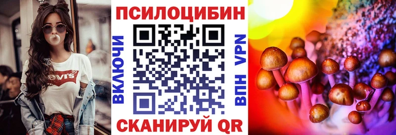 закладка  Первомайск  нарко площадка как зайти  Псилоцибиновые грибы MAGIC MUSHROOMS 