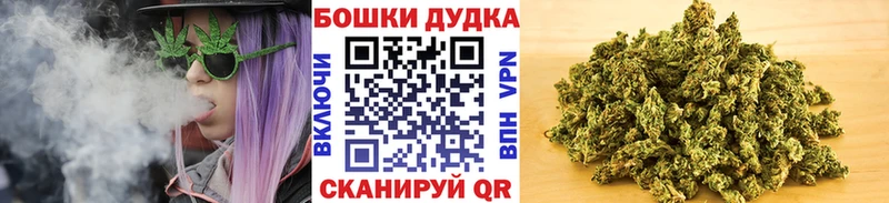 Бошки марихуана сатива  Первомайск 